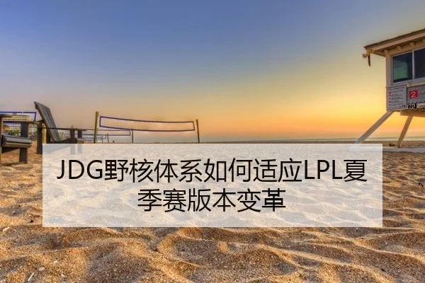 JDG野核体系如何适应LPL夏季赛版本变革