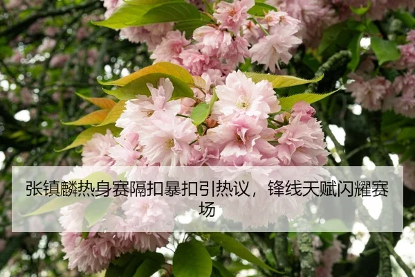 zhang-zhen-lin-re-shen-sai-ge-kou-bao-kou-yin-re-yi-feng-xian-tian-fu-shan-yao-sai-chang-3-605.jpg