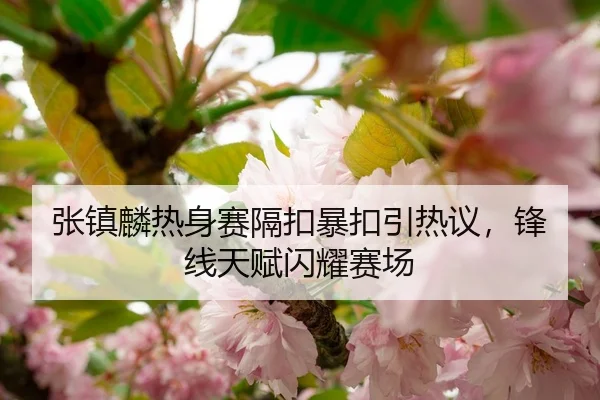 张镇麟热身赛隔扣暴扣引热议，锋线天赋闪耀赛场