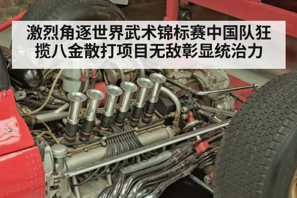 激烈角逐世界武术锦标赛中国队狂揽八金散打项目无敌彰显统治力